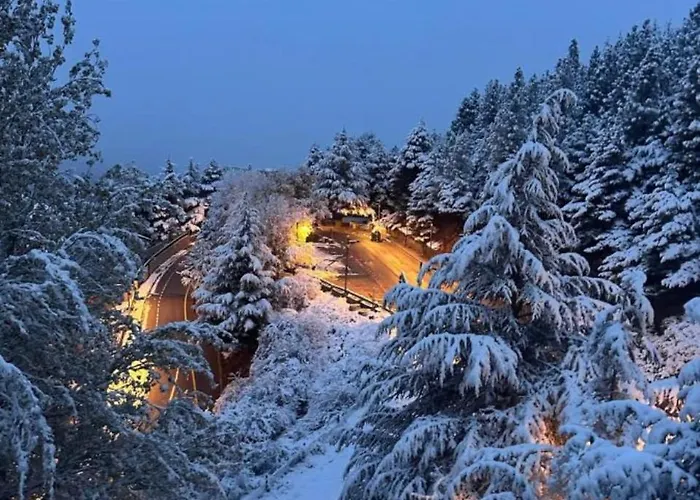 Апартаменты Primavera Premium 4 *