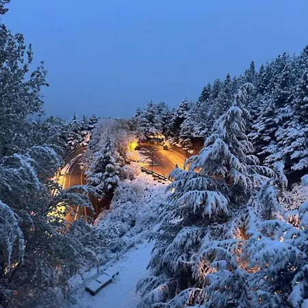 Apartment Primavera Premium 4 *